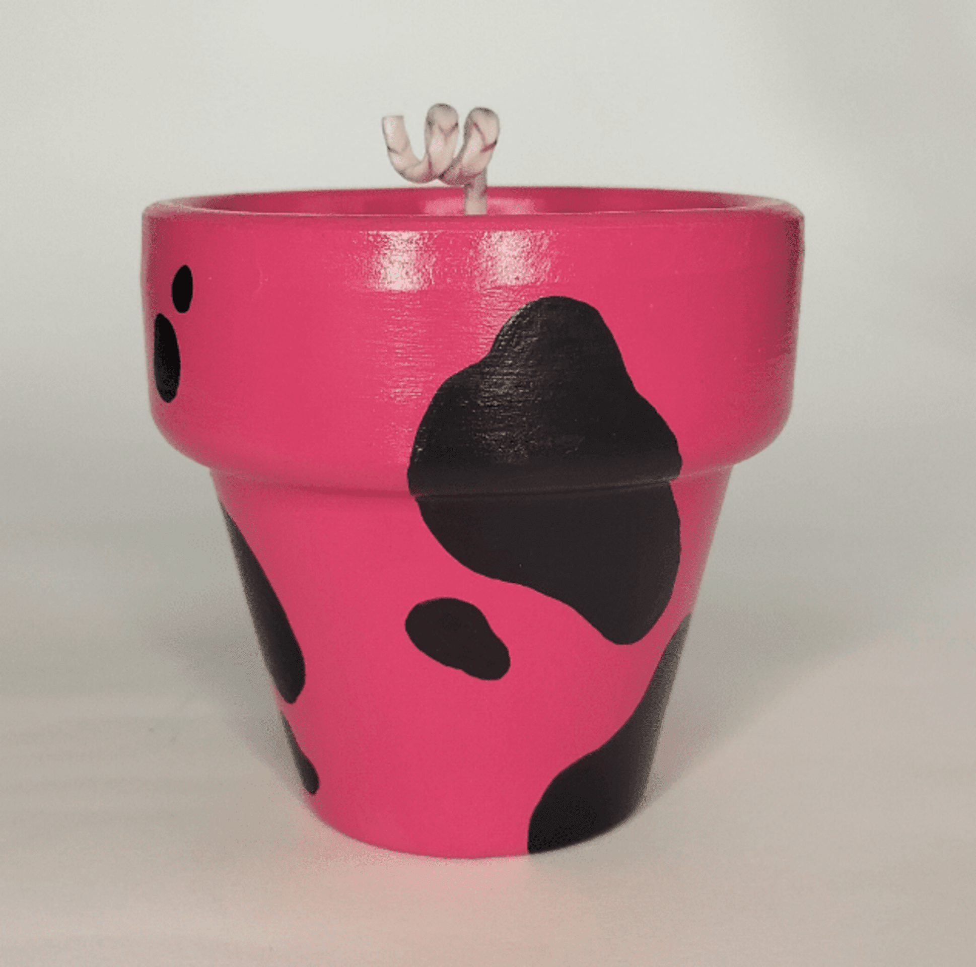 💀💛 Maceta Vela Calavera Animal Print Vaca 7cm 💛💀 - 3