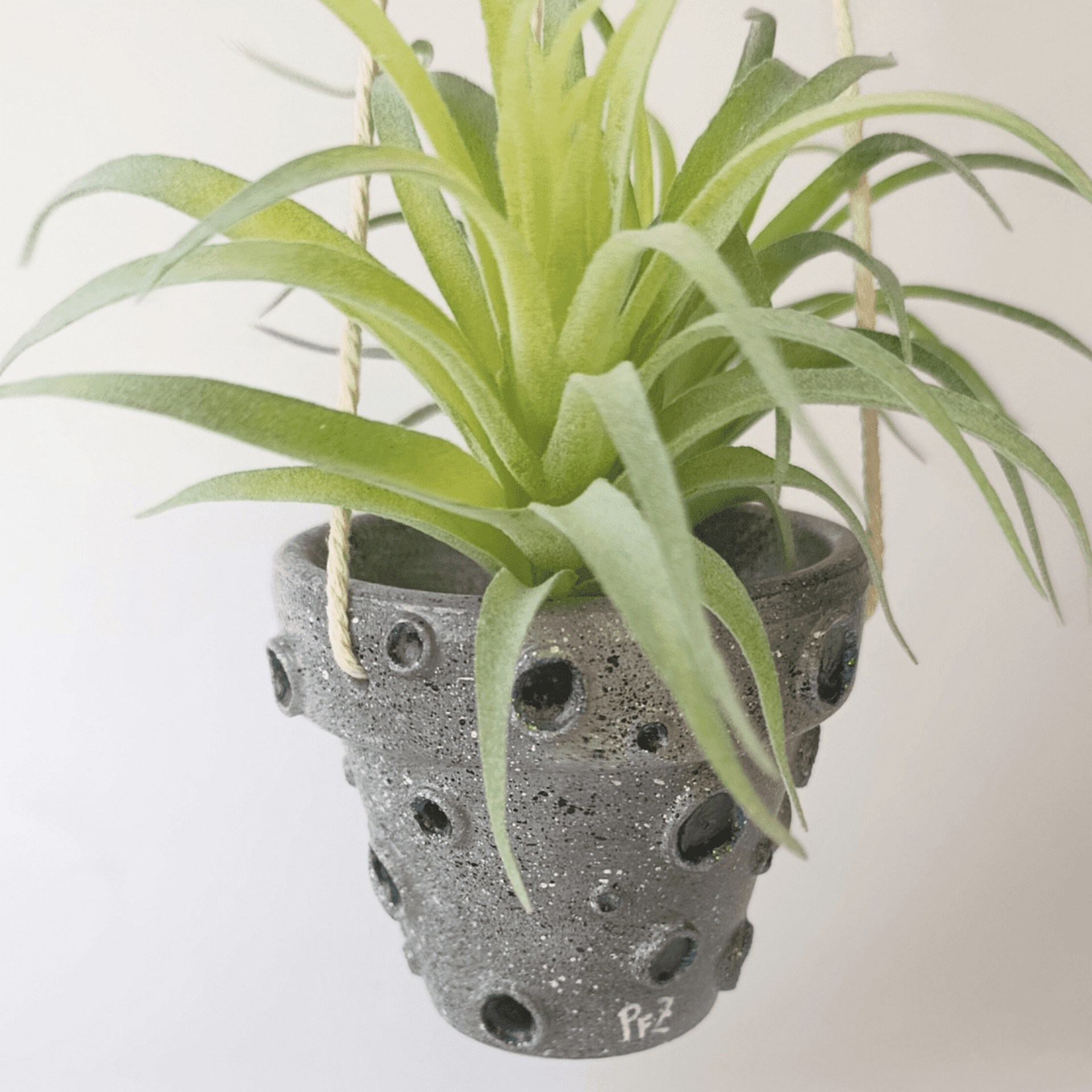 🌙✨ Maceta Colgante Luna 9cm✨🌙 - 2