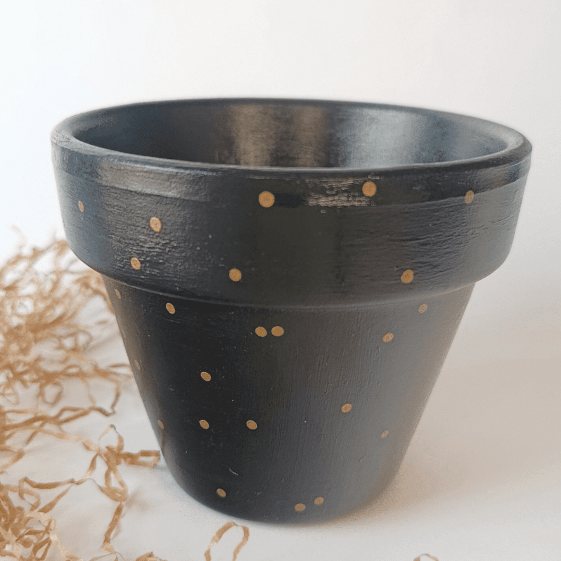 🌿 Maceta Hoja Monstera XL 11cm ✨ - 3