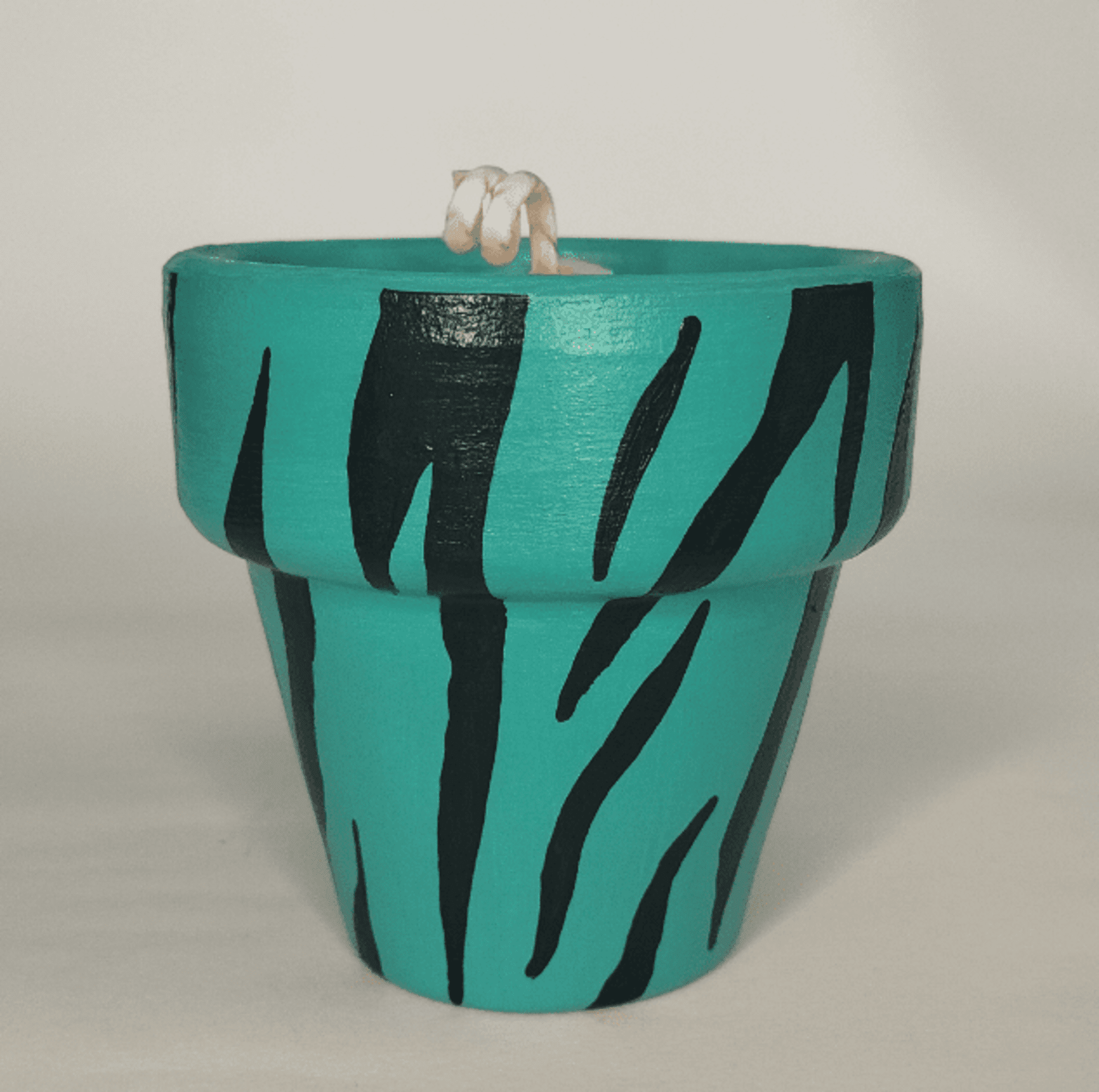 💀💙 Maceta Vela Calavera Animal Print Cebra 7cm 💙💀 - 3